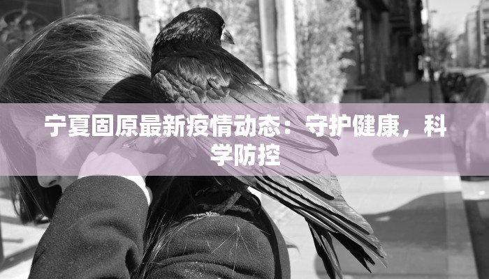 宁夏固原最新疫情动态：守护健康，科学防控