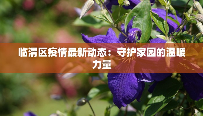 华尔街国际最新疫情：机遇与挑战并存的投资指南