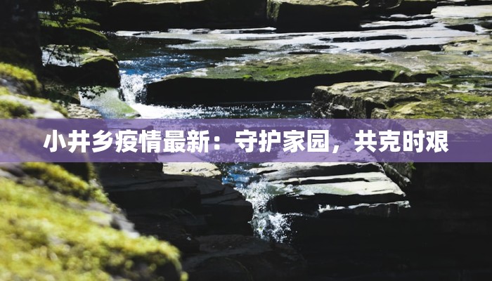 小井乡疫情最新：守护家园，共克时艰
