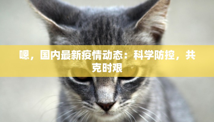 嗯，国内最新疫情动态：科学防控，共克时艰