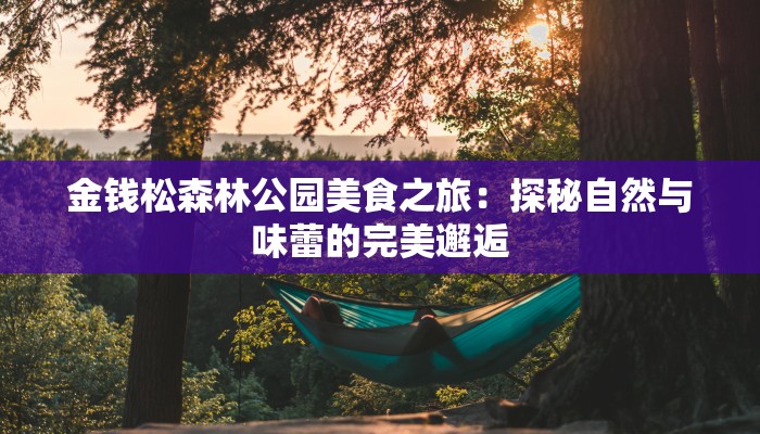 金钱松森林公园美食之旅：探秘自然与味蕾的完美邂逅