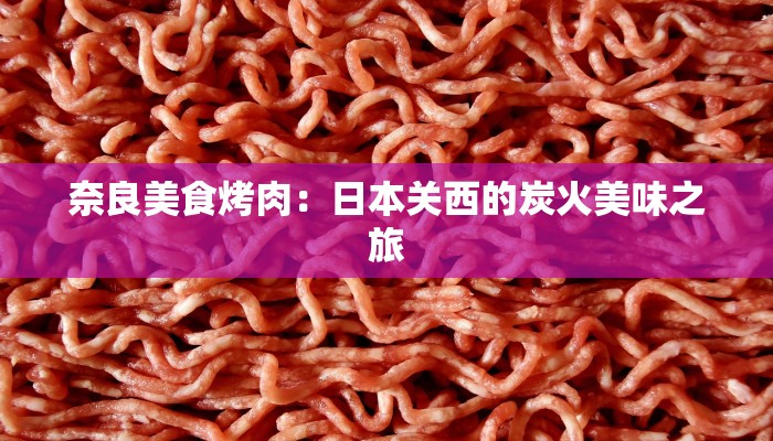 奈良美食烤肉：日本关西的炭火美味之旅