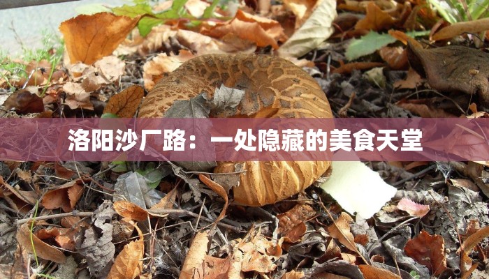 洛阳沙厂路：一处隐藏的美食天堂