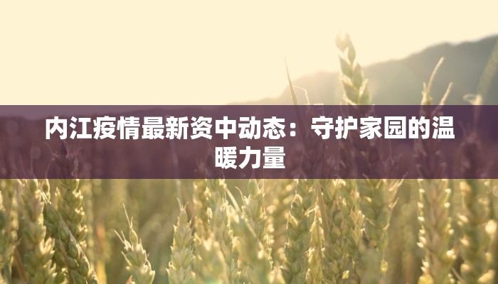 松江明兴最新疫情：科学防控，共筑健康屏障