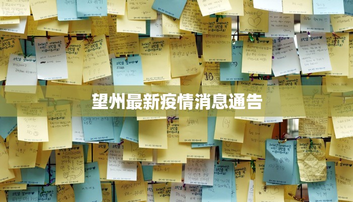 望州最新疫情消息通告