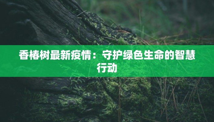 三仓区最新疫情通报