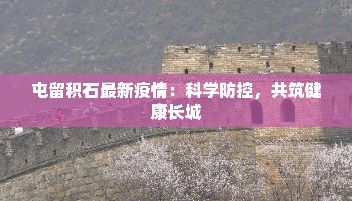 长沙菠萝泡芙，甜蜜团购的绝妙选择