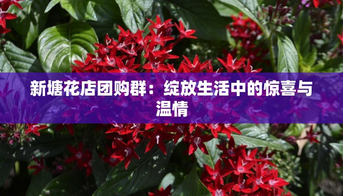 新塘花店团购群：绽放生活中的惊喜与温情