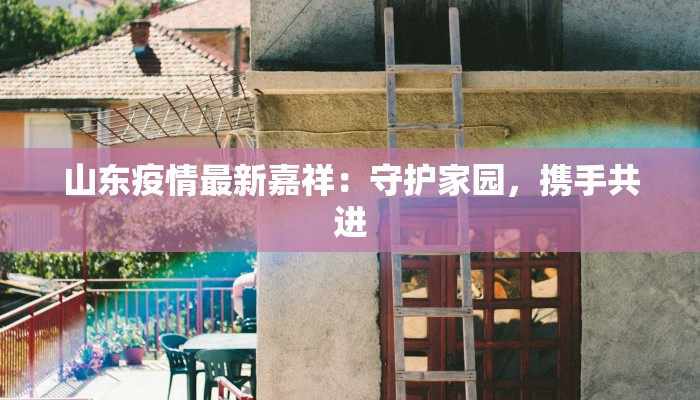 山东疫情最新嘉祥：守护家园，携手共进