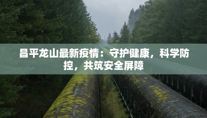 罗庄区疫情最新报表：科学防控，共筑健康防线