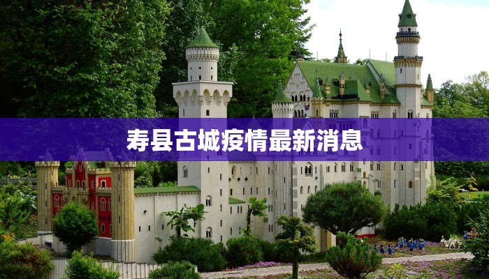 临夏疫情最新通知