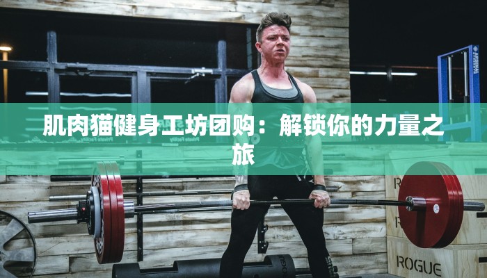 肌肉猫健身工坊团购：解锁你的力量之旅