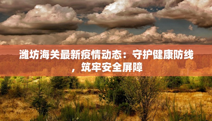 潍坊海关最新疫情动态：守护健康防线，筑牢安全屏障