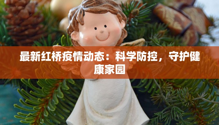 最新红桥疫情动态：科学防控，守护健康家园