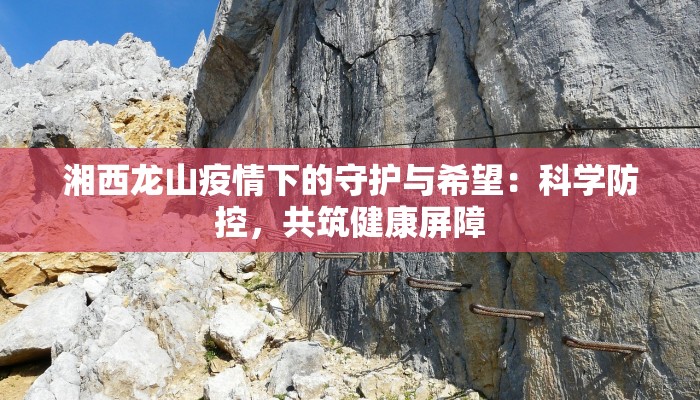 湘西龙山疫情下的守护与希望：科学防控，共筑健康屏障