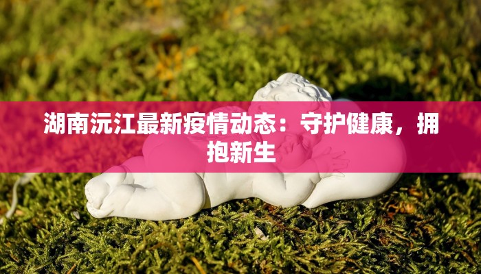 寿宁疫情最新情况今天